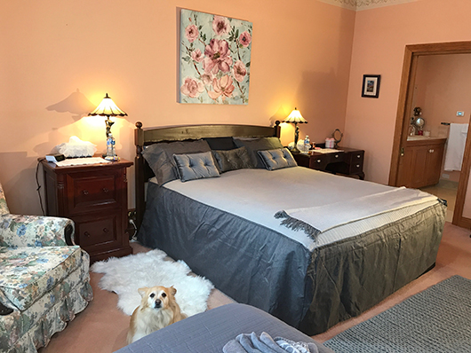 Bed & Breakfast | Stony Rise Cottage